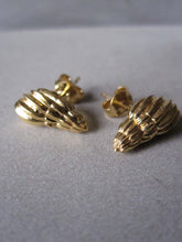 Seashell Studs gold plated