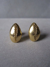 Cowrie shell Studs gold plated