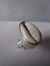 Cowrie shell ring - deep set