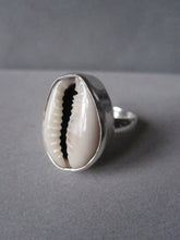 Cowrie shell ring - deep set