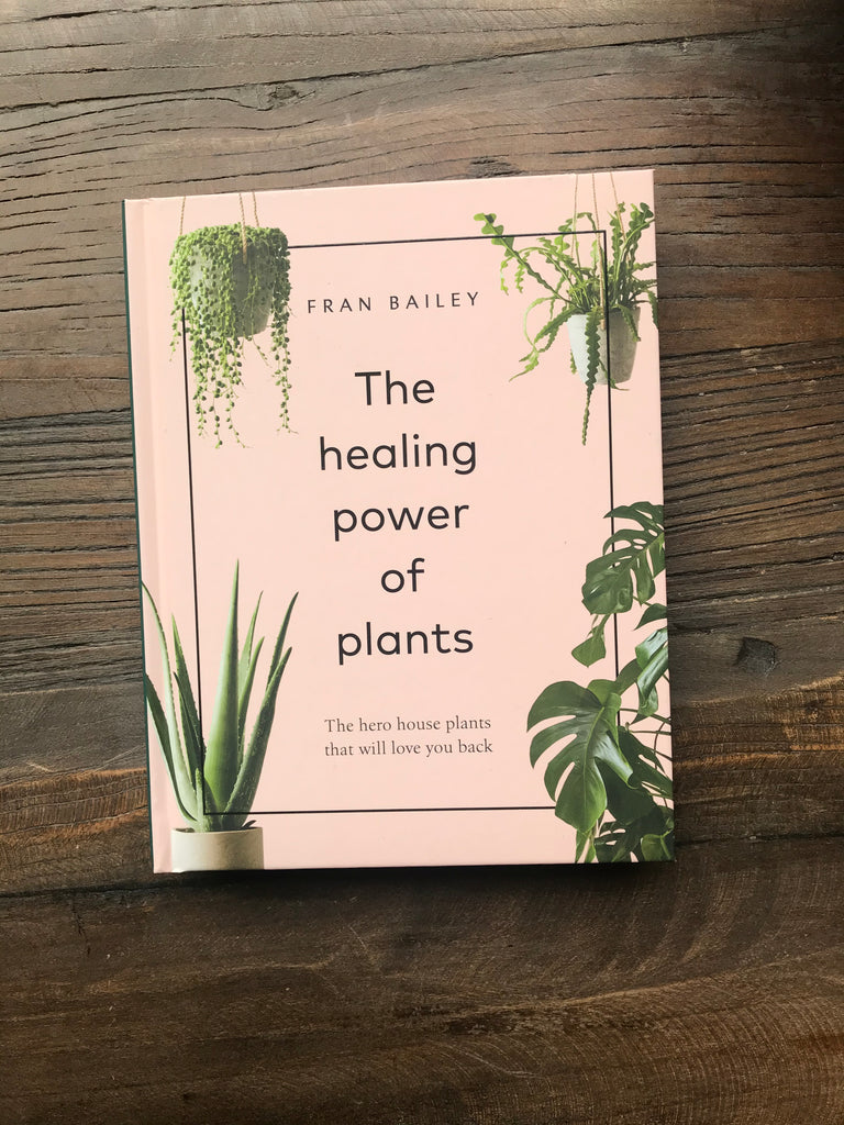 The Healing Power of Plants