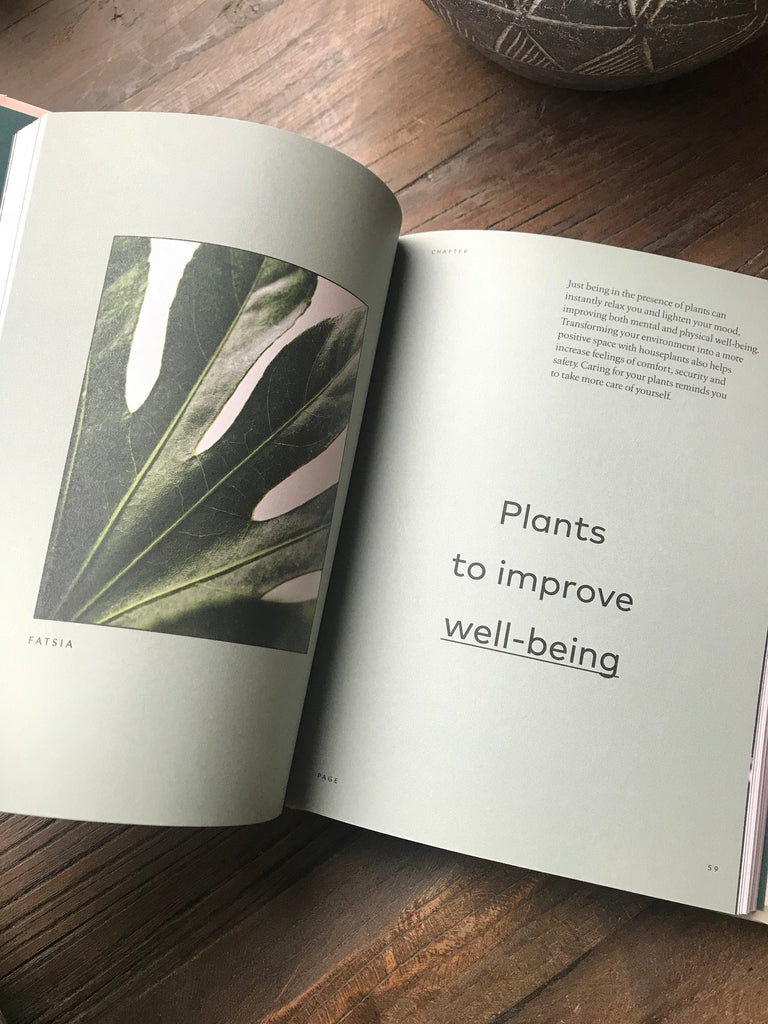 The Healing Power of Plants