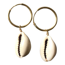 Cowrie shell small hoop earrings - gold plated