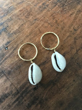 Cowrie shell small hoop earrings - gold plated