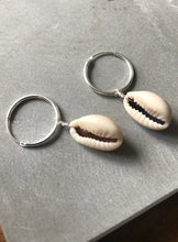 Cowrie shell small hoop earrings