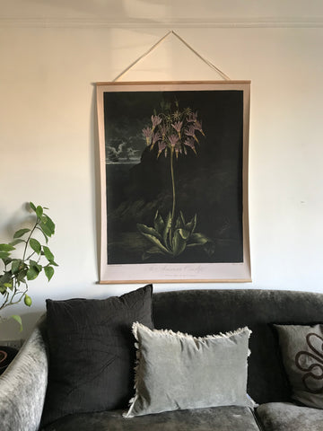 Canvas wall hanging - American Cowslip