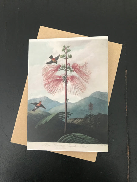 Card - Flowering plant scene