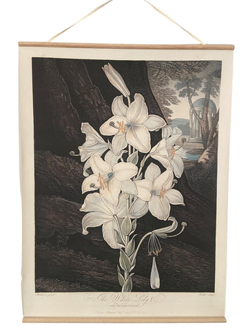 Canvas wall hanging - The White Lily