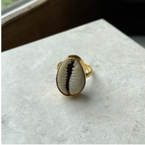 Cowrie ring