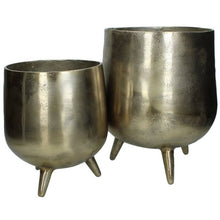 Maitri Gold Planter