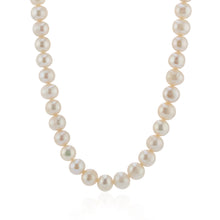 Pearl Necklace - Gold Plated