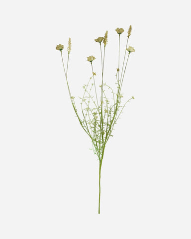 Flower, wild, beige