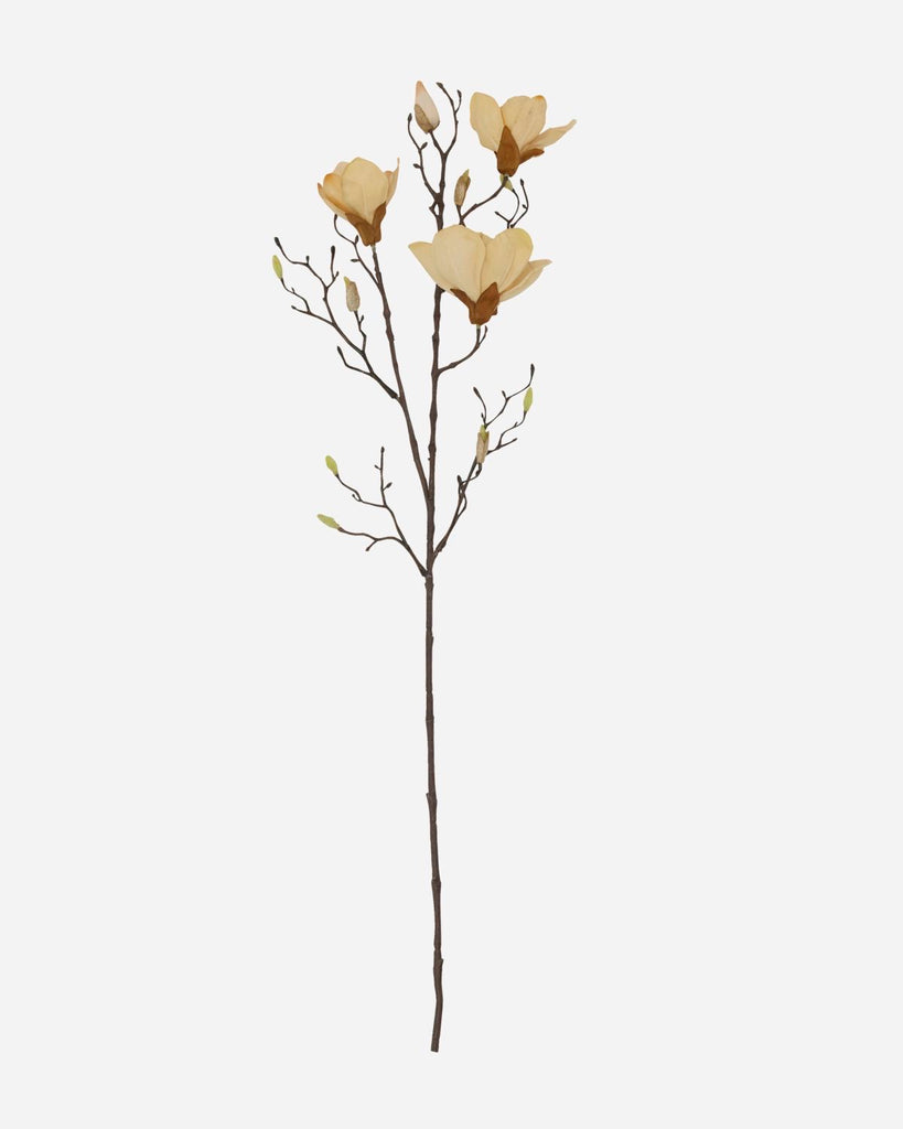 Flower, Mangnolia, Off-White