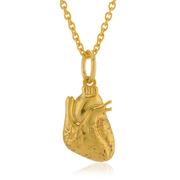 WDTS 925 Silver Anatomical Heart Necklace - Gold Plated