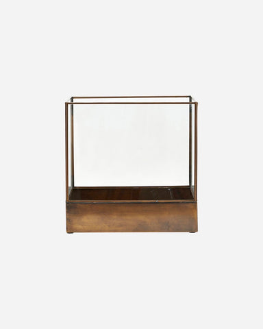 Display Box, Plant, Antique Brass