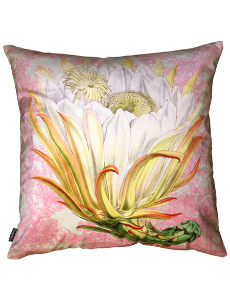 Protea Pink Toile Cushion