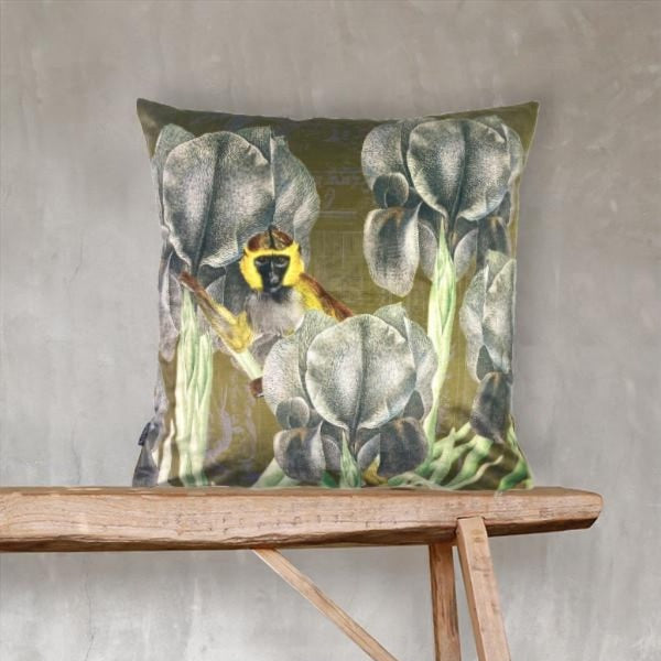 Antique Ape Velvet Cushion cover