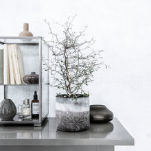 Candle Stand, Rock, Glass Vase