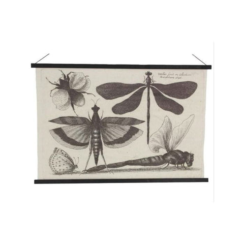 Wall Hanging Dragonfly Black 80x2x114cm